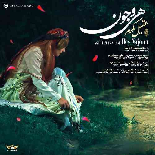 عقیل مکرم هی وجون